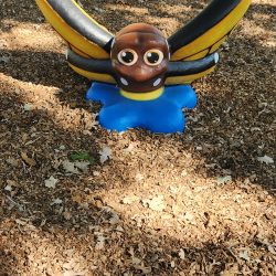 Salem Play Area Attraction