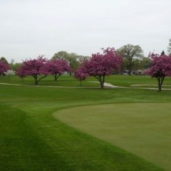Shiloh-Park-Golf-Course